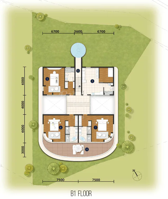 layout